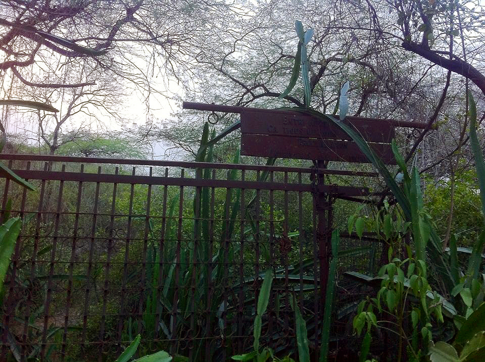 10350632_10152115619579149_315985241781450678_n